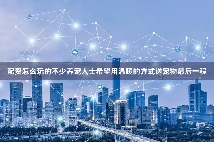 配资怎么玩的不少养宠人士希望用温暖的方式送宠物最后一程