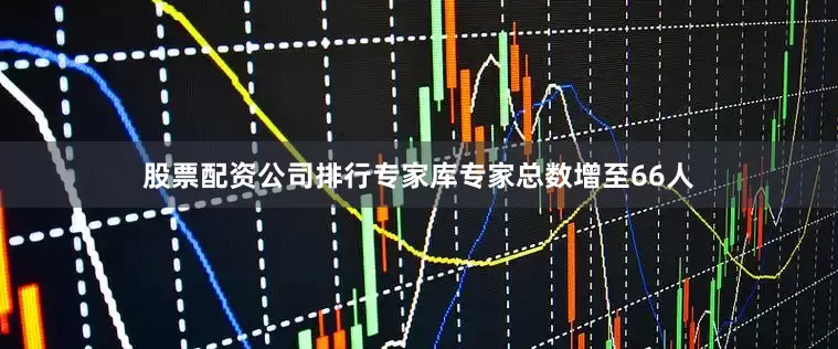 股票配资公司排行专家库专家总数增至66人