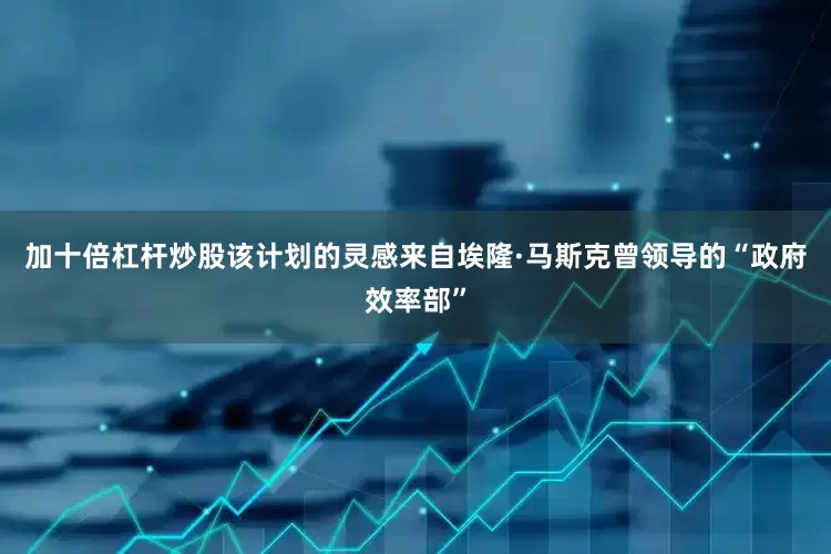 加十倍杠杆炒股该计划的灵感来自埃隆·马斯克曾领导的“政府效率部”