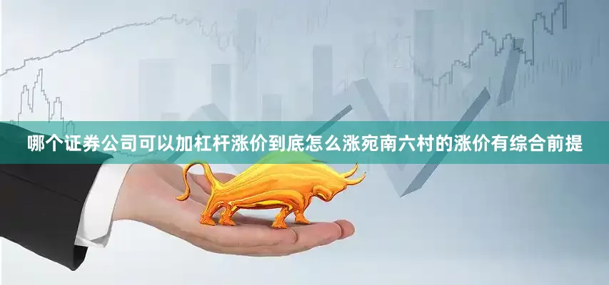 哪个证券公司可以加杠杆涨价到底怎么涨宛南六村的涨价有综合前提