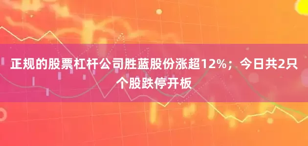 正规的股票杠杆公司胜蓝股份涨超12%；今日共2只个股跌停开板