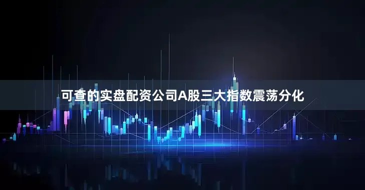 可查的实盘配资公司A股三大指数震荡分化