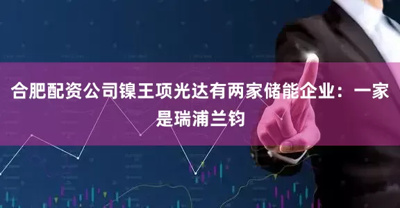 合肥配资公司镍王项光达有两家储能企业：一家是瑞浦兰钧